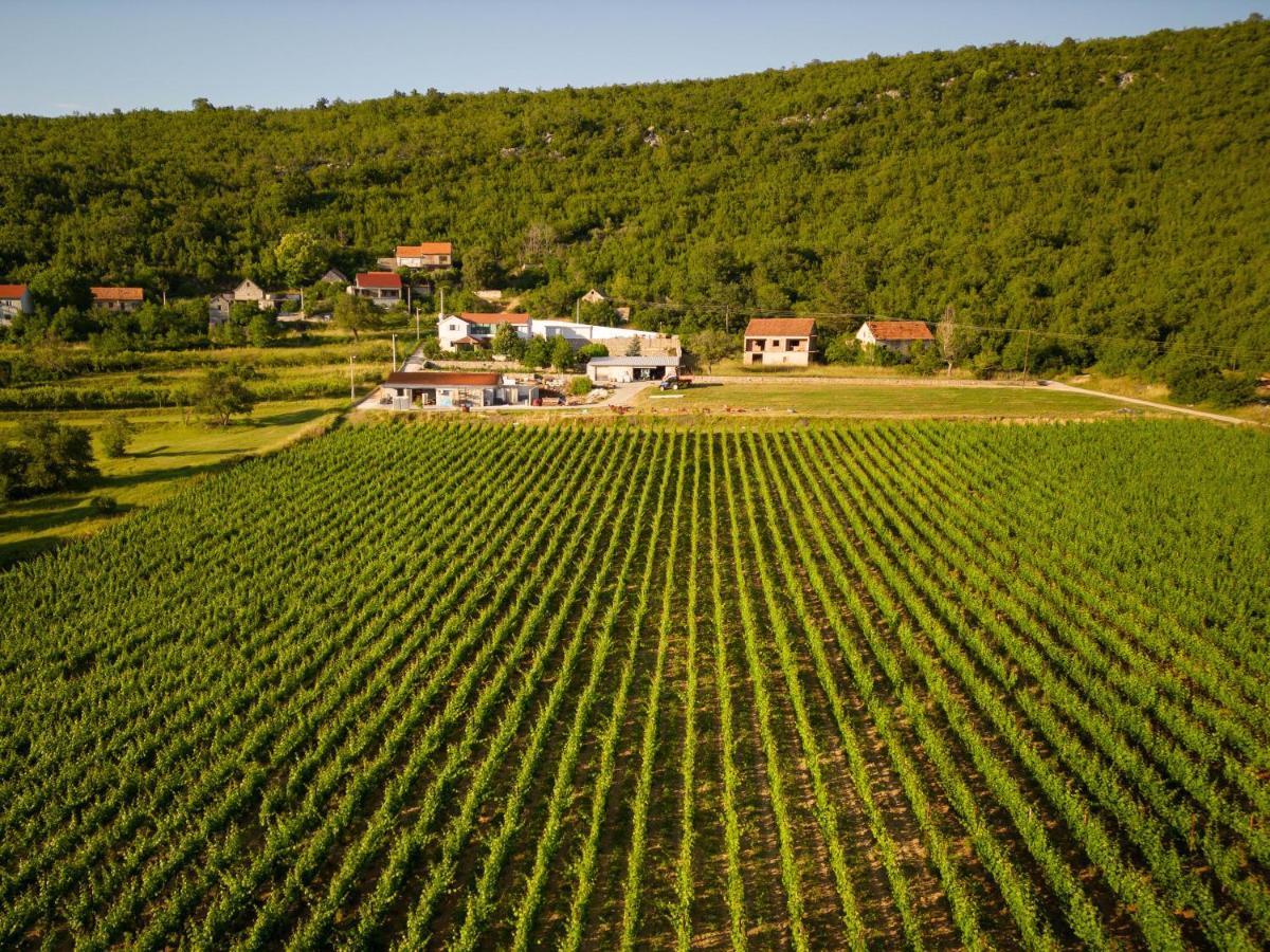 Krolo Villa&Wine Trilj Extérieur photo